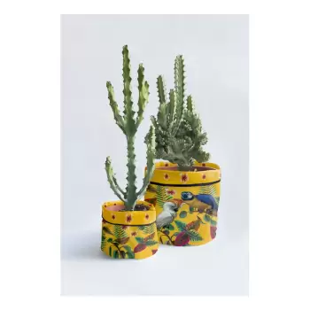 Set 2 huse textile pentru ghivece Madre Selva Guadalupe imagine