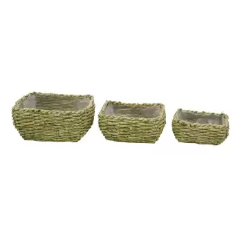 Set 3 ghivece Ego Dekor Natur M, verde imagine
