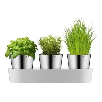 Set 3 ghivece metalice pentru ierburi aromatice WMF Gourmet imagine