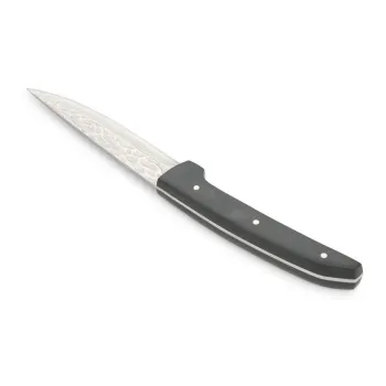 Set de cutite pentru friptura negru/argintiu din otel 4 buc. Carne - BonBistro imagine