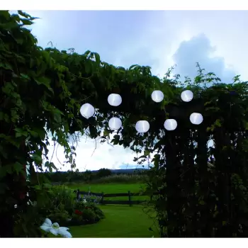 Sirag luminos LED pentru exterior Star Trading Lampions, 10 becuri, lungime 2,7 m imagine