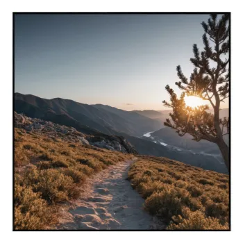 Tablou 50x50 cm Mountain Path - knor imagine