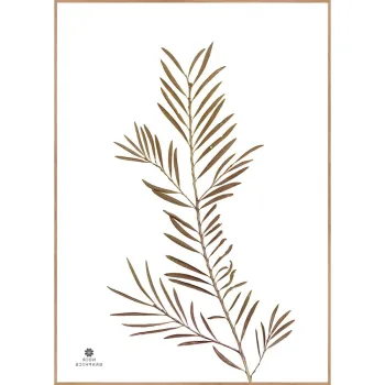 Tablou 50x70 cm Grace - Malerifabrikken imagine