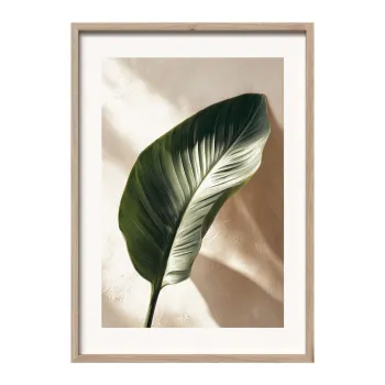 Tablou cu rama imprimat 50x70 cm Strelizia Leaf - Styler imagine