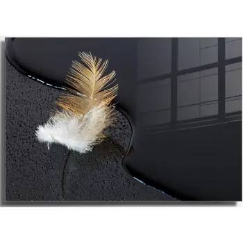Tablou din sticla 100x70 cm Feather - Wallity imagine