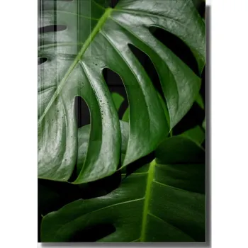 Tablou din sticla 50x70 cm Monstera - Wallity imagine