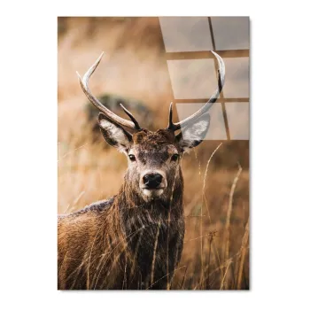 Tablou din sticla 70x100 cm Deer - Wallity imagine