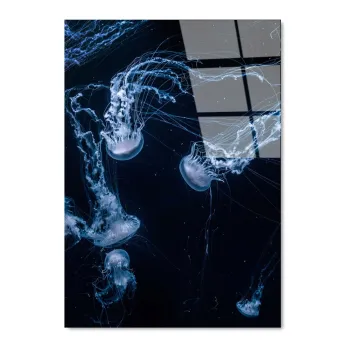 Tablou din sticla 70x100 cm Jelly Fish - Wallity imagine