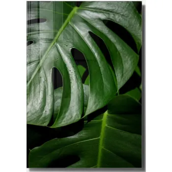 Tablou din sticla 70x100 cm Monstera - Wallity imagine