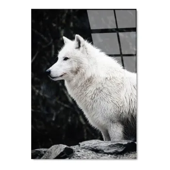 Tablou din sticla 70x100 cm White Wolf - Wallity imagine