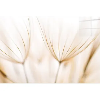 Tablou din sticla 70x50 cm Fluff - Wallity imagine