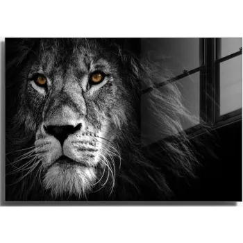 Tablou din sticla 70x50 cm Lion - Wallity imagine