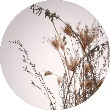 Tablou o 70 cm Everlasting - Malerifabrikken imagine