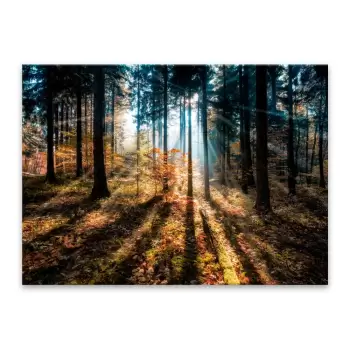 Tablou Styler Glasspik Autumn Sunset, 70 x 100 cm imagine