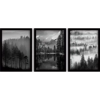Tablouri 3 buc. 35x45 cm Black & White - Wallity imagine