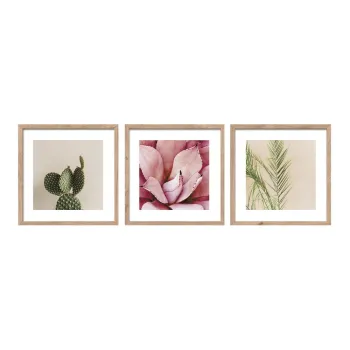 Tablouri cu rama 3 buc. imprimate 30x30 cm Fresh - Styler imagine