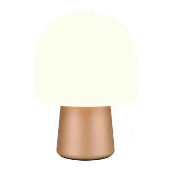 Veioza alba/in culoarea bronz cu abajur din sticla (inaltime 27 cm) Steen - Trio imagine