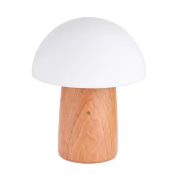 Veioza cu luminozitate reglabila si abajur din sticla (inaltime 32 cm) Alice - Gingko imagine