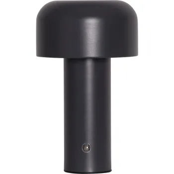 Veioza gri LED (inaltime 21,5 cm) Bobby - Star Trading imagine