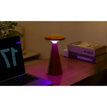 Veioza in culoare naturala inchisa LED cu abajur din lemn (inaltime 21 cm) Sylva - Gingko imagine