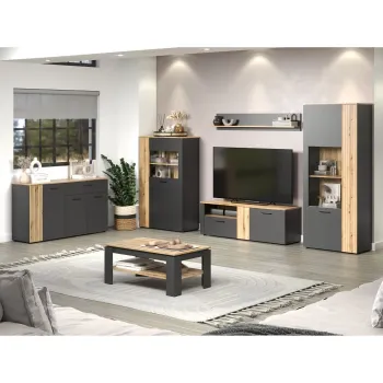 Set Living ESTEBAN, 6 piese, 2 vitrine, 2 comode, masuta, raft suspendat, grafit + stejar evok 320x42x195 cm imagine