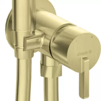 Baterie bideu incastrata cu para de dus culoare auriu periat Deante Silia imagine