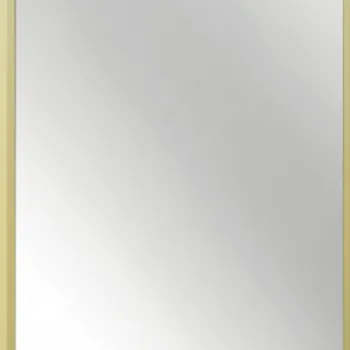 Oglinda suspendata, in rama aluminiu, auriu periat, 50x100 cm, Deante Silia imagine