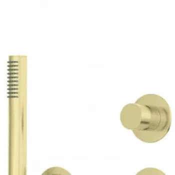 Set de dus incastrat, cu palarie, para de dus si baterie, auriu, Deante Silia imagine