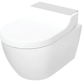 Obiecte sanitare imagine