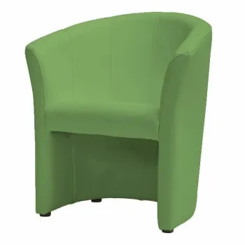 Fotoliu TM-1 piele ecologica verde/wenge EK11 imagine