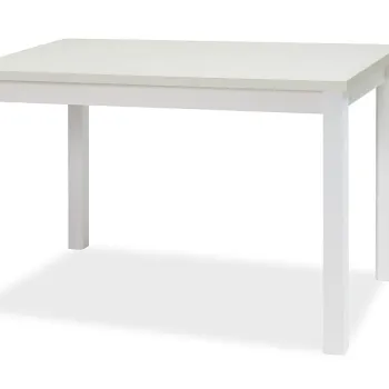 Masa Adam alb mat L100x60 cm imagine