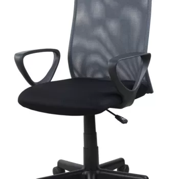 Scaun de birou Alex negru gri imagine