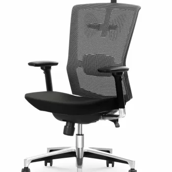 Scaun de birou Ambasador negru gri imagine