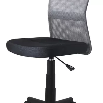 Scaun de birou copii Dingo negru gri imagine