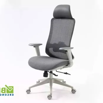 Scaun de birou Ergon gri imagine