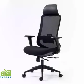 Scaun de birou Ergon negru imagine