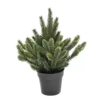 Bradut decorativ Craciun| 16002 imagine