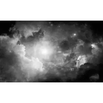 Fototapet STARGAZER | RY2817M imagine