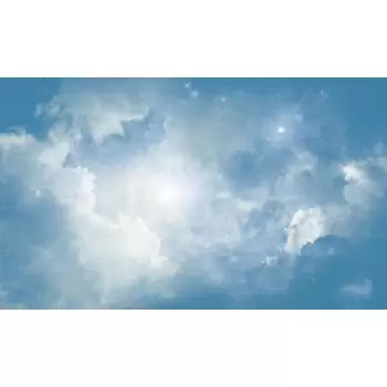 Fototapet STARGAZER | RY2818M imagine