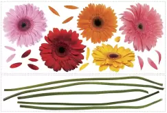 Sticker decorativ GERBER DAISIES | 2 colite de 45,7 cm x 101,6 cm imagine