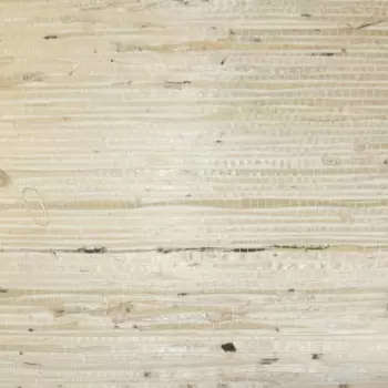 Tapet AMIR | CP9345 imagine