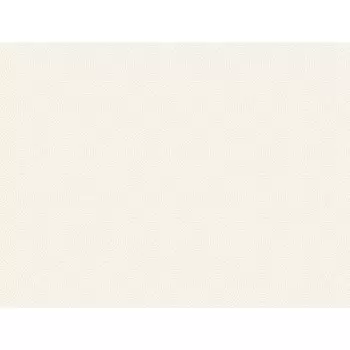 Tapet CONCENTRIC | SD3736 imagine