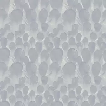 Tapet FEATHERS | Y6230103 imagine