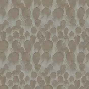 Tapet FEATHERS | Y6230104 imagine