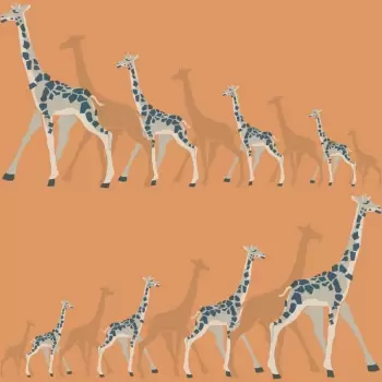 Tapet GIRAFFES | DW2363 imagine