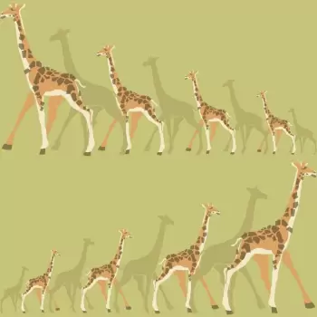 Tapet GIRAFFES | DW2364 imagine