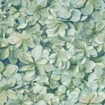 Tapet HYDRANGEA BLOOM | ON1619 imagine