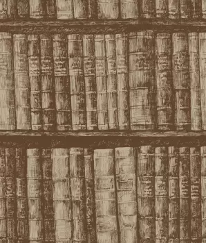 Tapet LIBRARY BOOKSHELF | HO3315 imagine