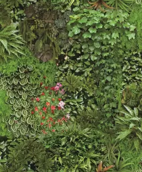 Tapet LIVING WALL | ON1670 imagine