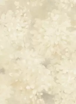 Tapet LOVELY LILACS | BR1995 imagine